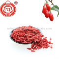 Small bag packing of china certified dried organic berries goji for dropshipping